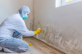 Best Crawl Space Mold Remediation  in White Sands, NM